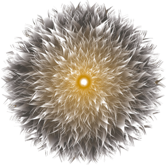 Lia Vin logo